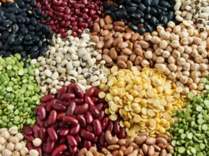 Oilseeds and Pulses